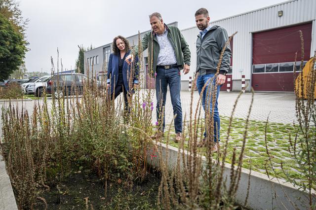 Irma Noorbergen, Herman Koopman en Eric Ebbers (vanaf links) vorig jaar bij de opvang van overtollig water in raingarden van Unilin op bedrijventerrein Euvelgunne in Groningen. 