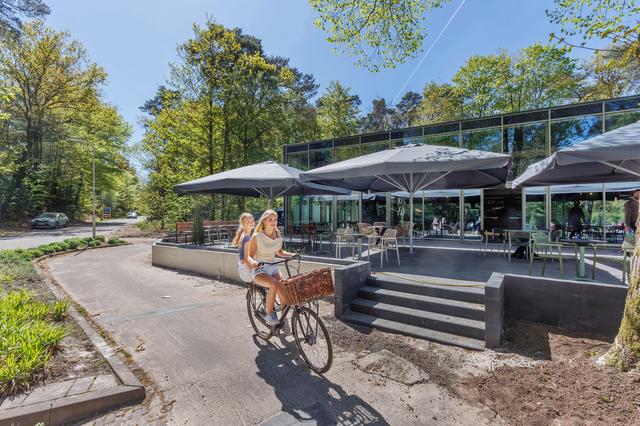 Het uiterlijk van De Bosberg transformeerde afgelopen weken aanzienlijk.