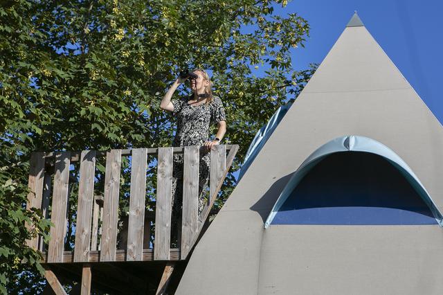 Foto Hedske Vochteloo