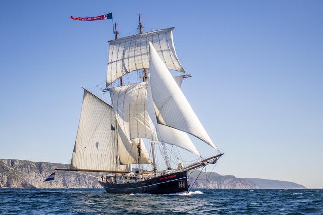 De Wylde Swan.