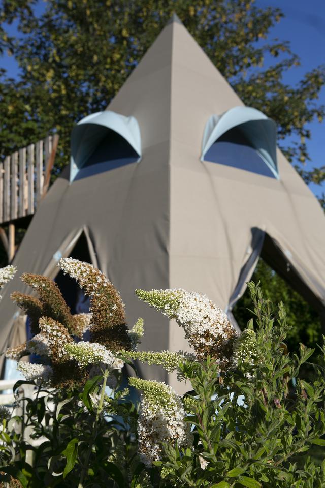 Foto Hedske Vochteloo