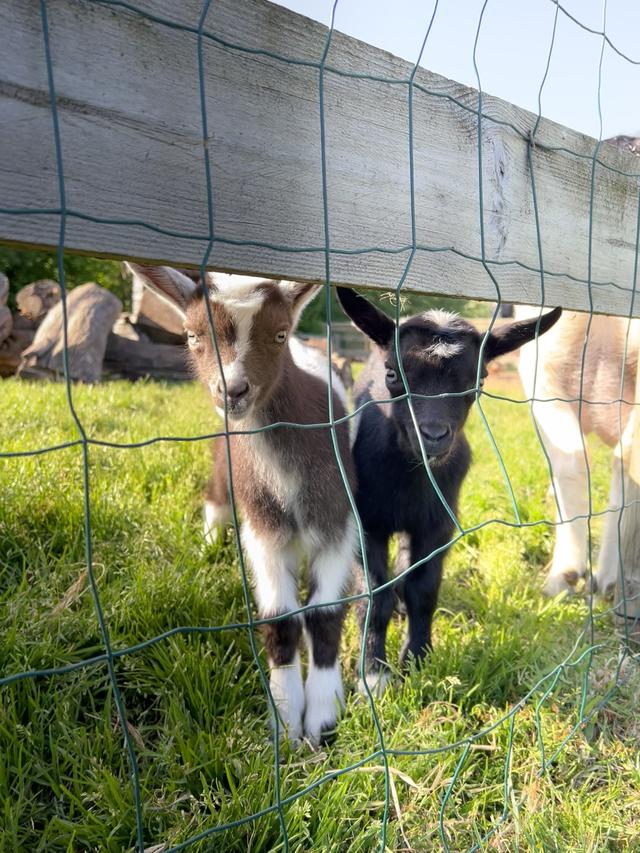 Bijzonder overnachten in Echtenerbrug