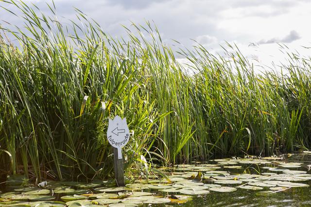 Foto Hedske Vochteloo
