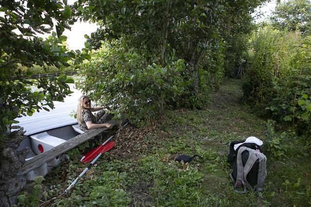 Foto Hedske Vochteloo