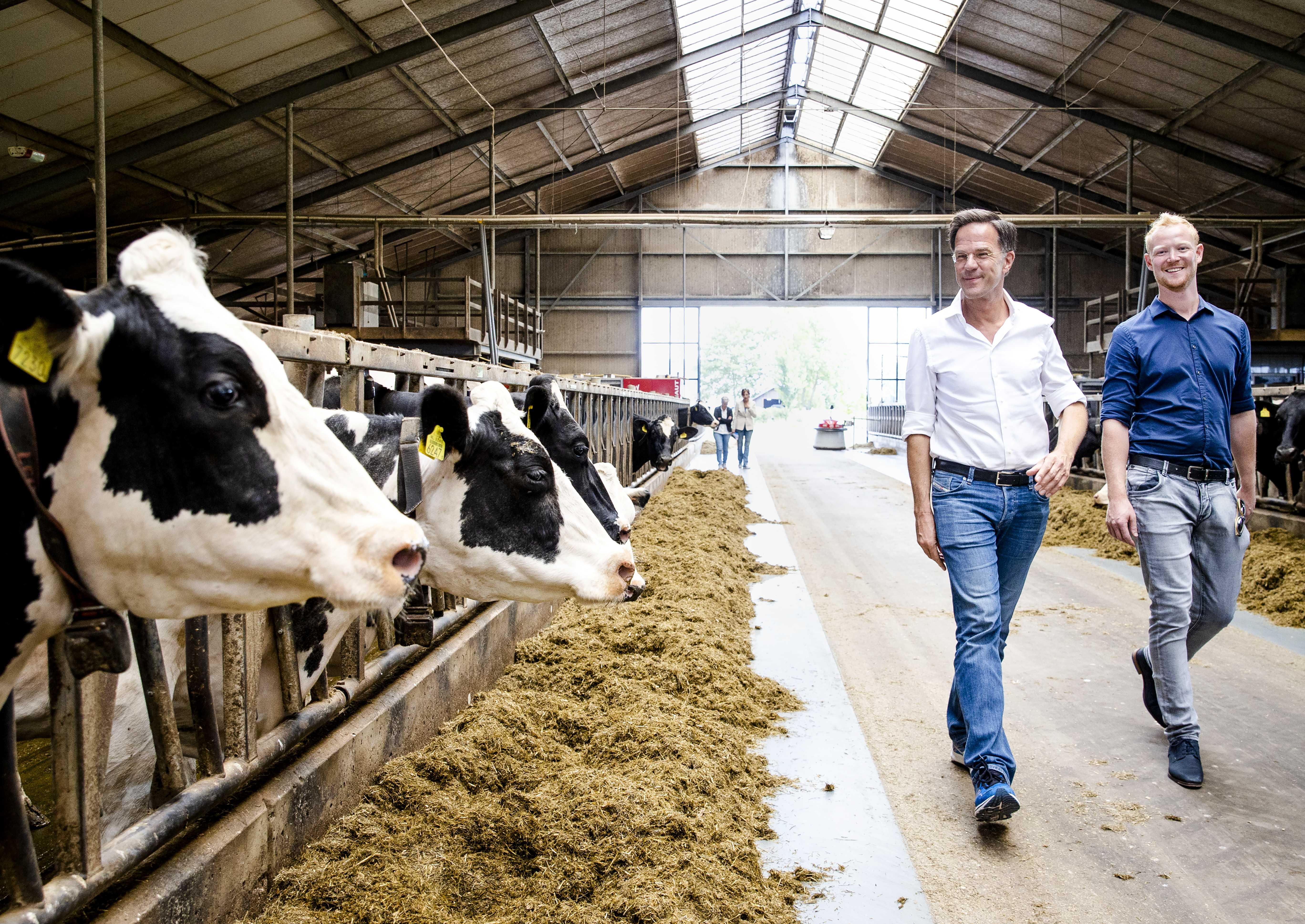 Minister-president Mark Rutte krijgt een rondleiding op een melkveebedrijf voorafgaand aan een gesprek met boeren over de stikstofplannen. 