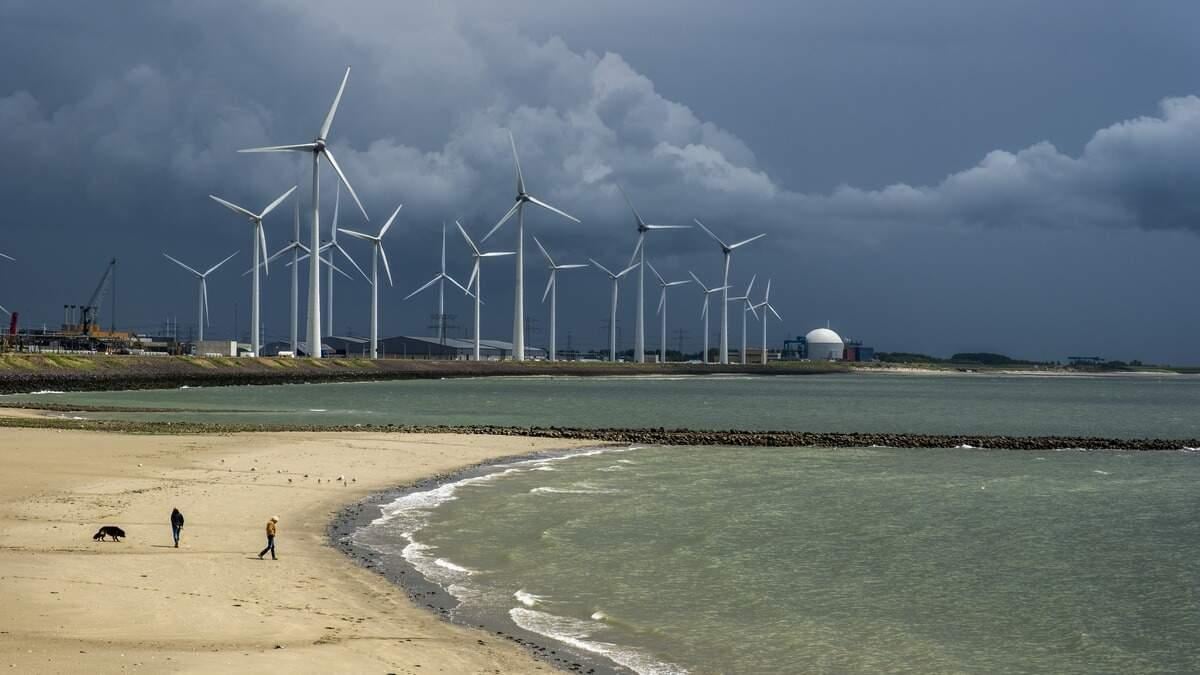 Beeld ter illustratie.