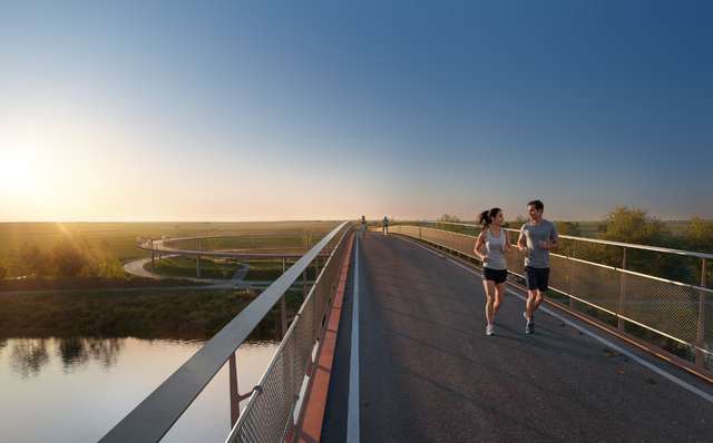 Mooi uitzicht vanaf de brug over het achtergelegen Ommeland.