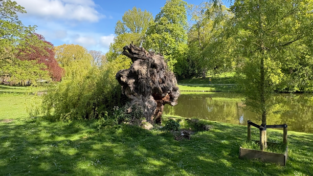 De natuur heeft vergankelijkheid nodig.
