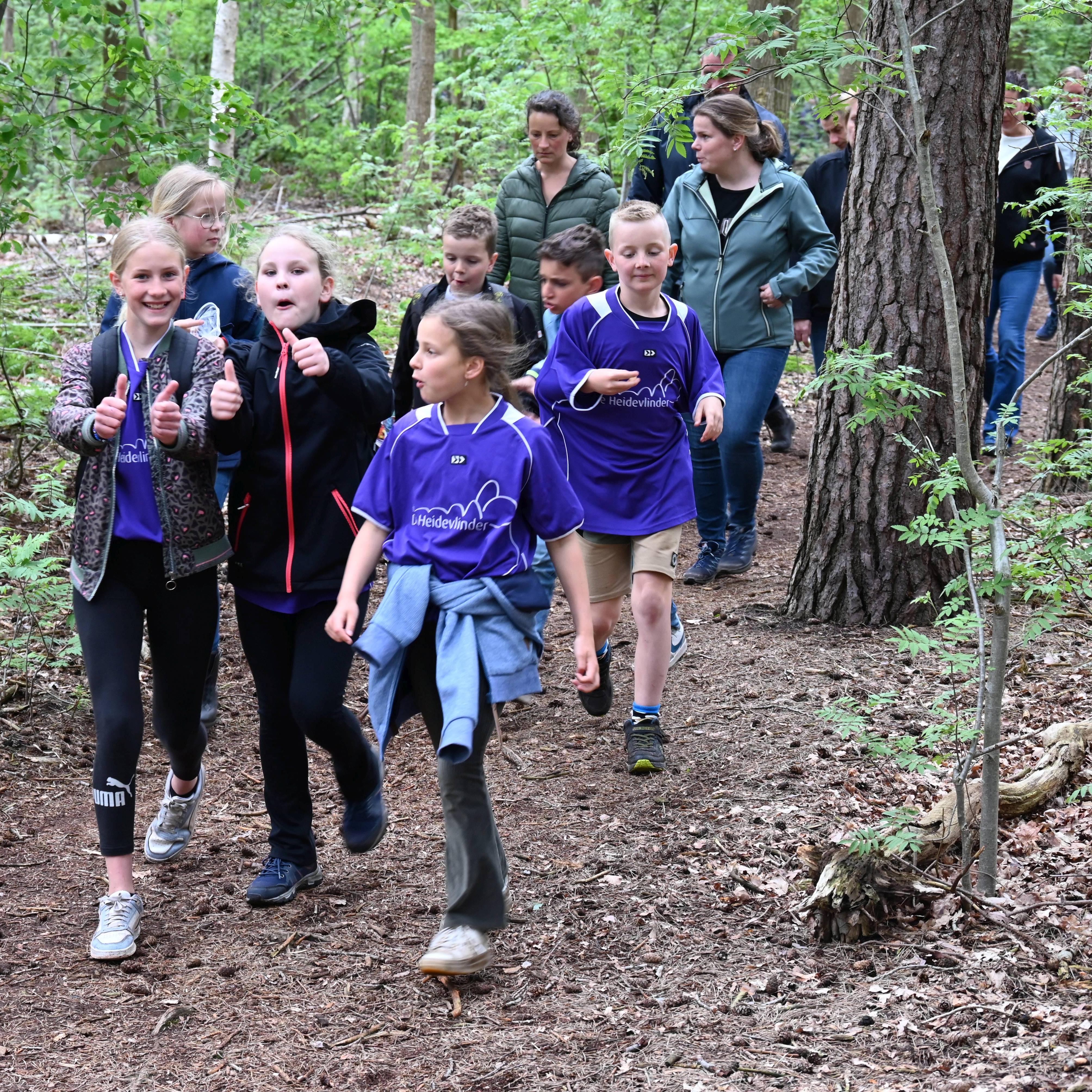 Beeld van de wandelvierdaagse van 2023 in het speelbos van Veeningen.
