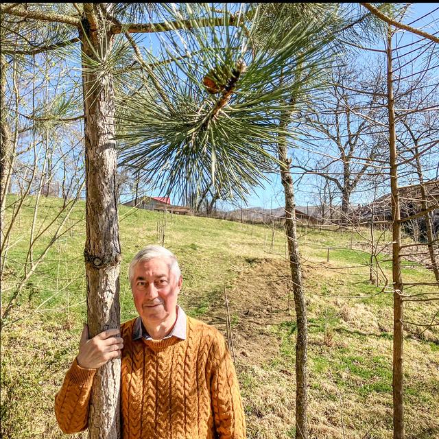 Ernest Oberländer bij de pijnboom die hij 30 jaar geleden plantte.