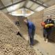 Boer Tonnie en Marijke van der Spek hebben een overschot van zeker 100 ton aardappelen.
