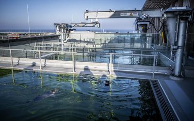 Het Werelderfgoedcentrum Waddenzee in Lauwersoog werd in april 2025 geopend.