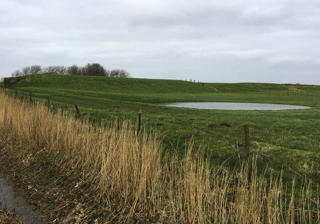 Omgeving Usquert.
