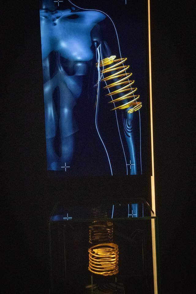 In de introductieruimte ligt onder meer een gouden armband uit 50 voor Christus, die als gift aan de goden werd begraven in Sarmizegetusa Regia, in de Karpaten. Een animatie wekt het object tot leven.