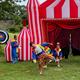 Circusfeest bij De Elsakker in Westervelde.