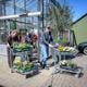 Het zijn drukke dagen bij tuincentrum El Dorado in Zuidwolde.