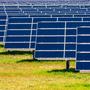De provincie kiest bij Noordbroek voor het open landschap en weigert de aanleg van een groot zonnepark.