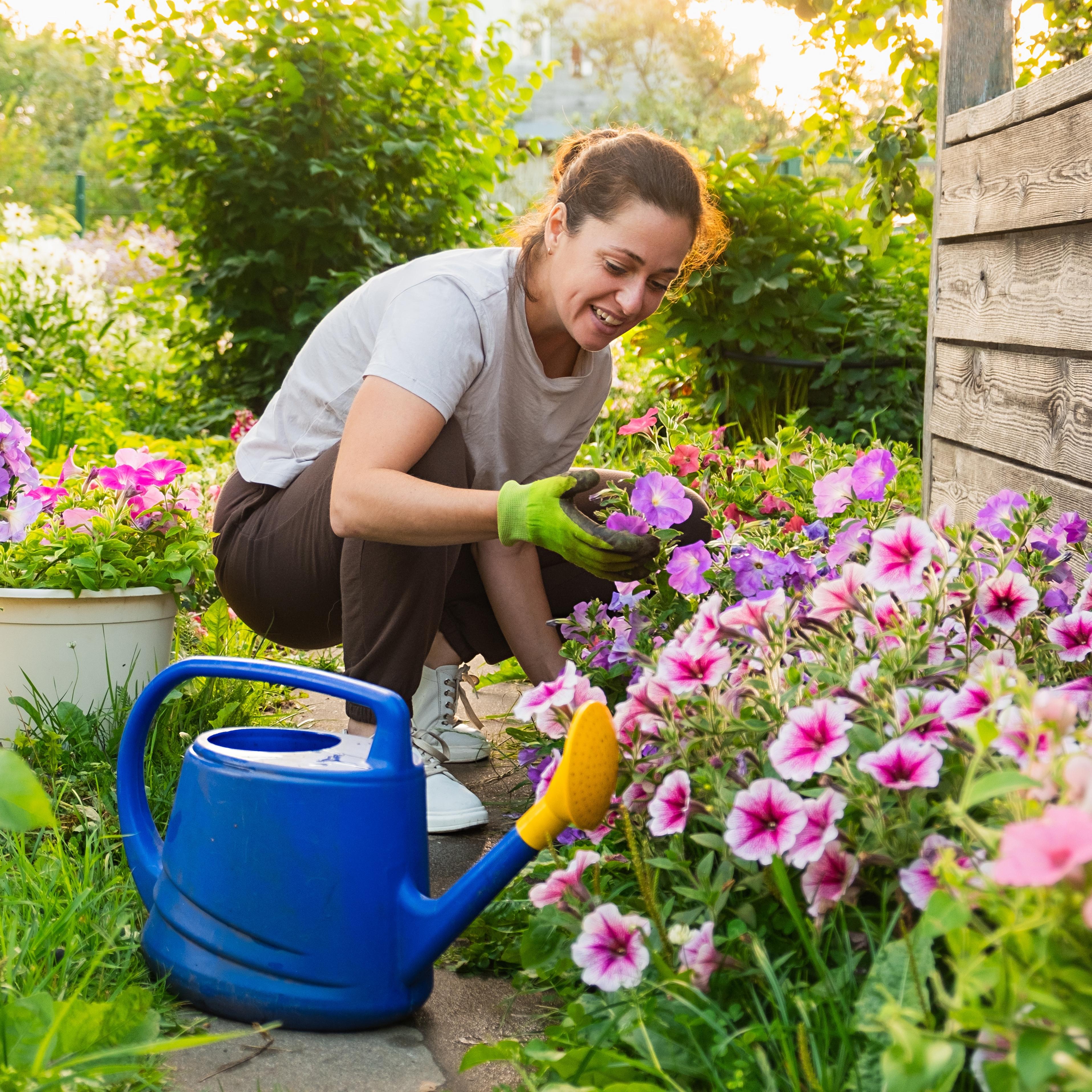 'Wat is er nu mooier dan een tuin waar het zoemt van de bijen en waar vlinders van bloem naar bloem fladderen?'