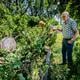 Jan en zijn zoon Gert Rijks bij de graven van hun familie op de begraafplaats van Wildervank Dalweg 36, waar enorme schade is ontstaan na noodweer.