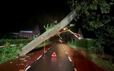 Stormschade op de Gasselterweg in Gieten.