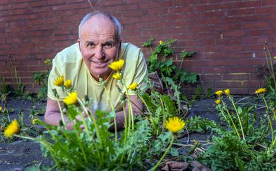 Karst Meijer tussen de paardenbloemen in de steeg naast zijn museum: 'Wist je dat paardenbloemen door 107 bijensoorten worden bezocht?'